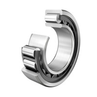 Vòng Bi Đũa Trụ 1 Dãy Vòng Cách Nhựa 100x180x46mm FAG NU2220-E-XL-TVP2