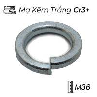 Lông Đền Vênh Thép Mạ Kẽm Trắng Cr3+ DIN127 M36