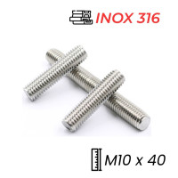 Guzong Inox 316 M10x40