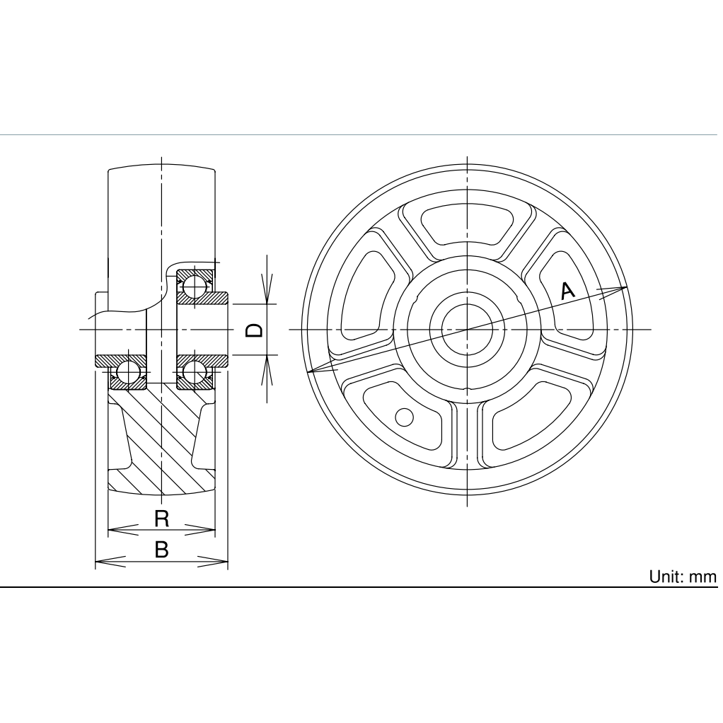 Bánh Xe Nylon (Không Càng) Vòng Bi Inox D100mm UKAI PBD-100_drawing