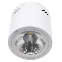 Đèn Downlight Gắn Nổi 20W Ánh Sáng Vàng Paragon PSDOO170L20