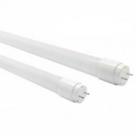 Led Tube Cấp Nguồn 1 Đầu 20W Ánh Sáng Trắng Paragon PFLNN20LT8