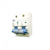 Cầu Dao Tự Động MCB 2P 100A 10kA MPE MP10-C2100