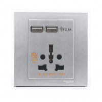 Bộ Ổ Cắm Đa Năng Kèm 2 Cổng Sạc Usb, Màu Xám Bạc Schneider Kb42616Usb_As_G19