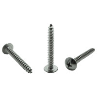 Vít Gỗ Đầu Dù Inox 304 M4x20 (#8-16TPI)