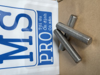 Guzong Inox 316 M12x65