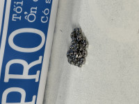 Tán Inox 304 DIN934 M2