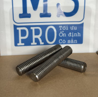 Guzong Inox 304 M12x60