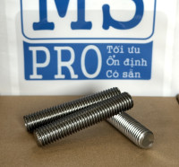 Guzong Inox 304 M12x65