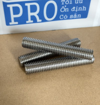 Guzong Inox 304 M12x70