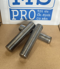 Guzong Inox 304 M16x75