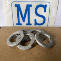 Lông Đền Vênh Thép Nhúng Nóng Kẽm DIN127 M20