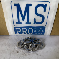 Lông Đền Vênh Inox 316 DIN127 M16