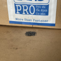 Phe Gài Trục Inox 420 DIN471 D4x0.4