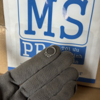 Phe Gài Trục Inox 420 DIN471 D10x1.0