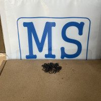 Phe Gài Trục Thép 65Mn DIN471 D3x0.4