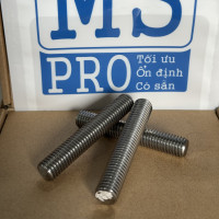 Guzong Inox 316 M12x70