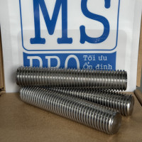 Guzong Inox 316 M20x100