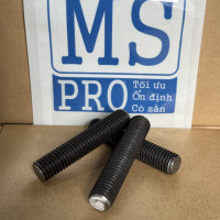 Guzong Thép Đen 8.8 M12x60