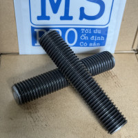 Guzong Thép Đen 8.8 M20x100