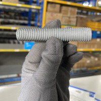 Guzong Thép Nhúng Nóng Kẽm 8.8 M16x85