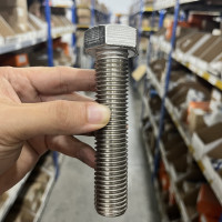 Bulong Inox 316 DIN933 M24x110