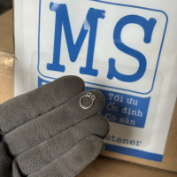 Phe Gài Trục Inox 420 DIN471 D9x1.0