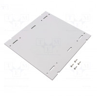 Mounting plate; steel