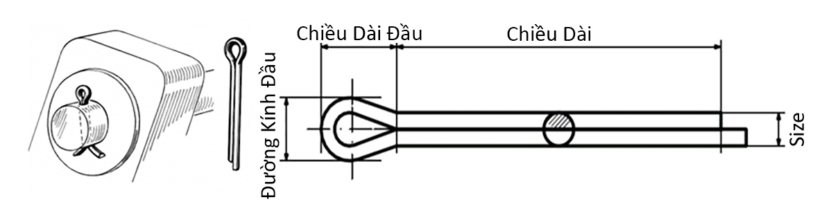 Chốt Chẻ Inox 304 (Chốt Bi) D3x40mm (25pcs/pack)_drawing